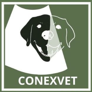 Logo Conexvet nuevo